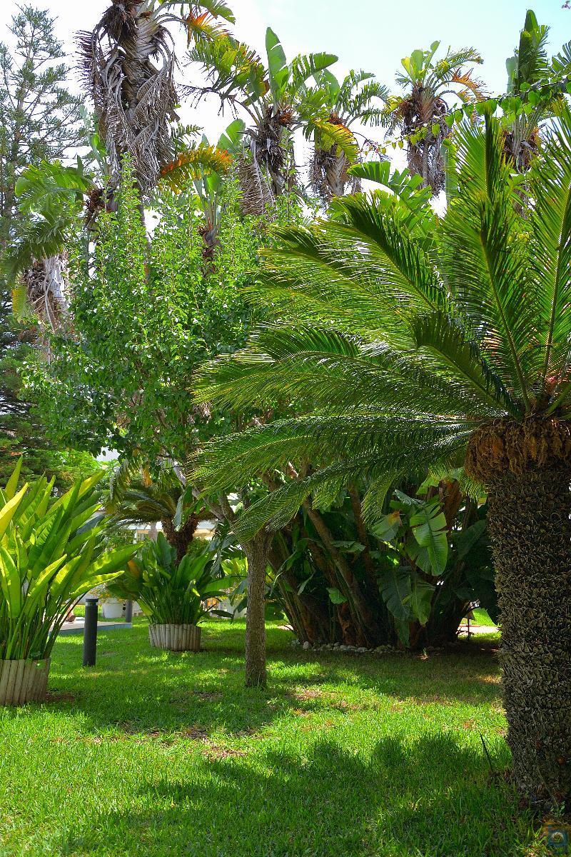 B&B Mondello Resort Buitenkant foto